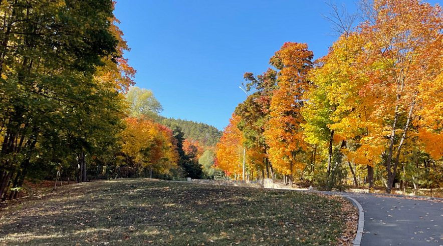 Фото: Gobalakovo