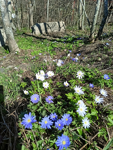 Фото: gobalakovo.ru